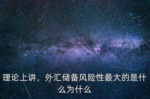 理論上講，外匯儲備風險性最大的是什么為什么