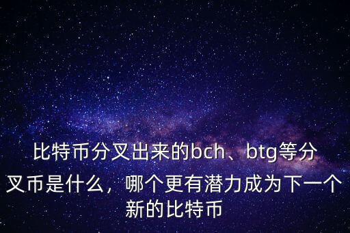 比特幣分叉出來的bch、btg等分叉幣是什么，哪個(gè)更有潛力成為下一個(gè)新的比特幣