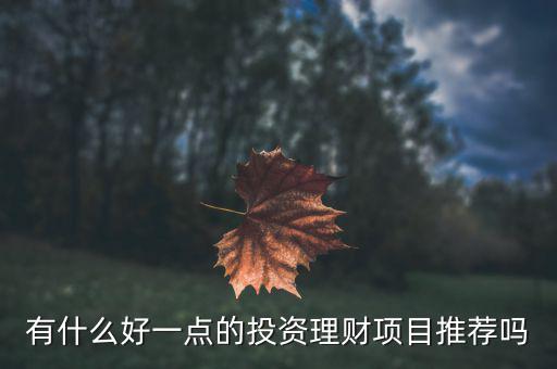 有什么好一點的投資理財項目推薦嗎