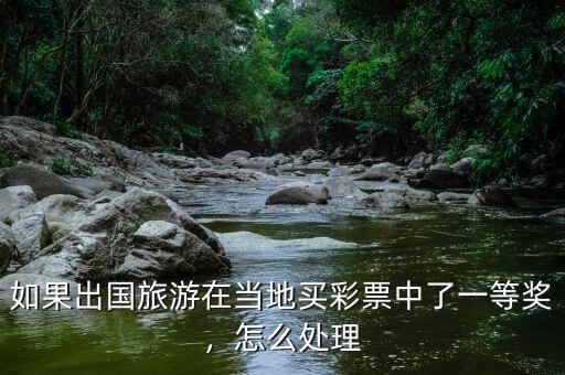 如果出國旅游在當(dāng)?shù)刭I彩票中了一等獎，怎么處理