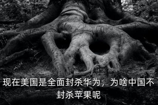 現(xiàn)在美國是全面封殺華為，為啥中國不封殺蘋果呢