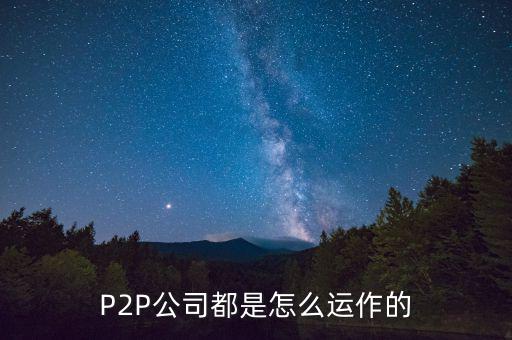 P2P公司都是怎么運(yùn)作的