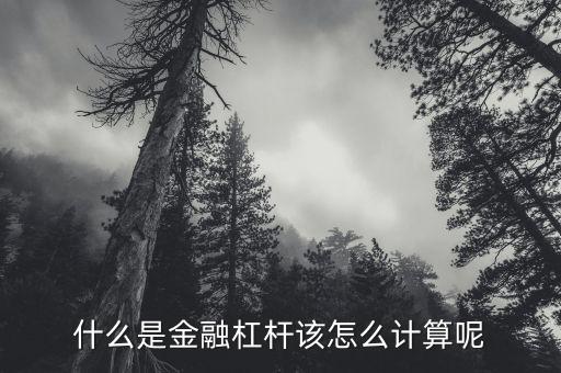 什么是金融杠桿該怎么計算呢