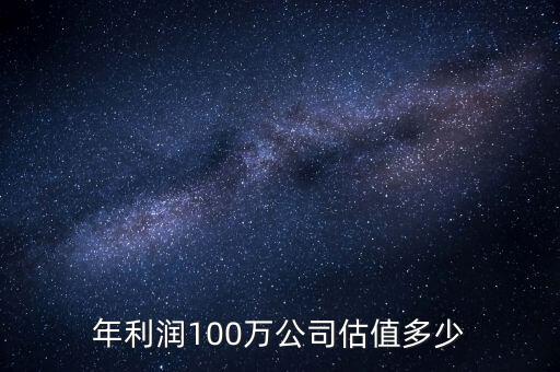 年利潤100萬公司估值多少