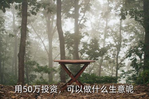 用50萬投資，可以做什么生意呢