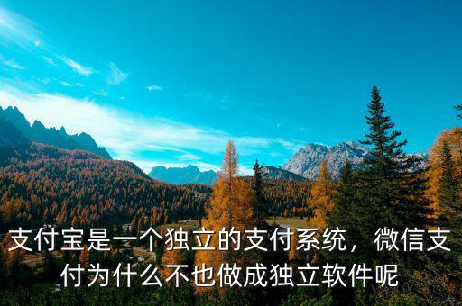 支付寶是一個(gè)獨(dú)立的支付系統(tǒng)，微信支付為什么不也做成獨(dú)立軟件呢