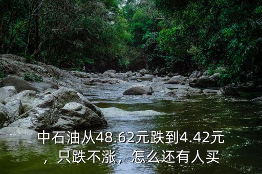 中石油從48.62元跌到4.42元，只跌不漲，怎么還有人買