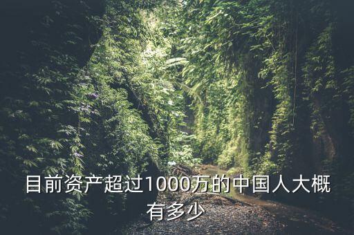 目前資產(chǎn)超過(guò)1000萬(wàn)的中國(guó)人大概有多少