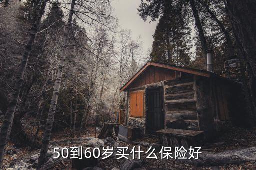 50到60歲買(mǎi)什么保險(xiǎn)好