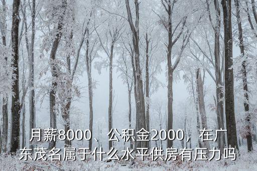 月薪8000、公積金2000，在廣東茂名屬于什么水平供房有壓力嗎