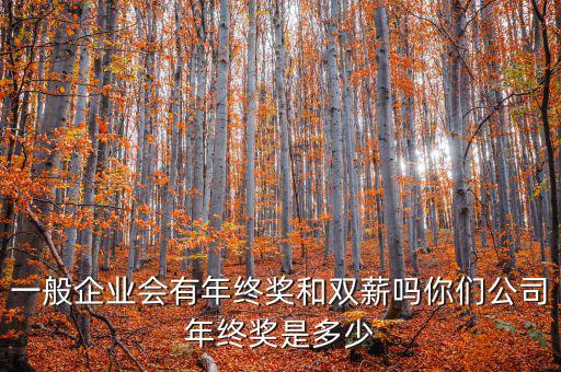 公司年終獎(jiǎng)金一般多少,你們公司年終獎(jiǎng)是多少