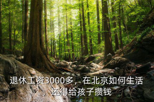 退休工資3000多，在北京如何生活，還得給孩子攢錢