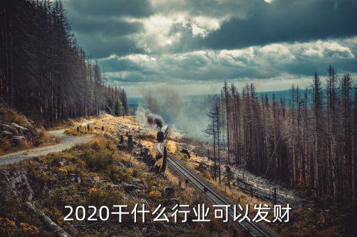 2020干什么行業(yè)可以發(fā)財(cái)