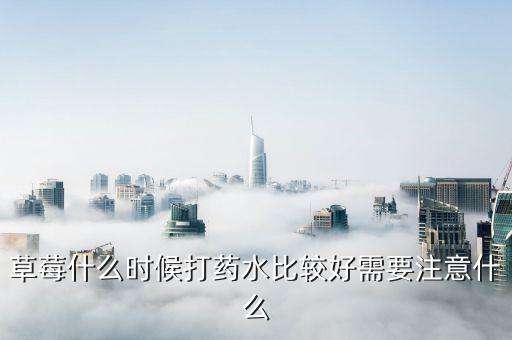 草莓什么時(shí)候打藥水比較好需要注意什么