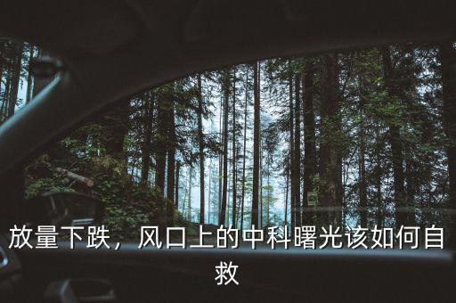 放量下跌，風(fēng)口上的中科曙光該如何自救