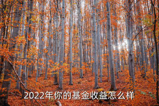 2022年你的基金收益怎么樣