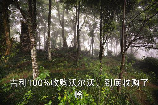 吉利100%收購(gòu)沃爾沃，到底收購(gòu)了啥