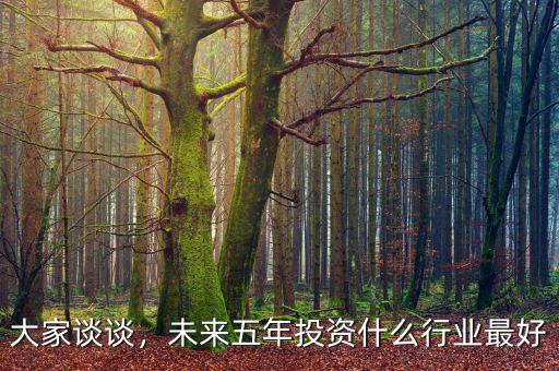 投資什么產(chǎn)業(yè)最好,未來五年投資什么行業(yè)最好