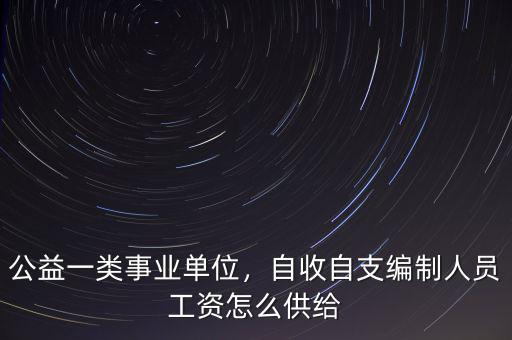 公益一類(lèi)事業(yè)單位，自收自支編制人員工資怎么供給