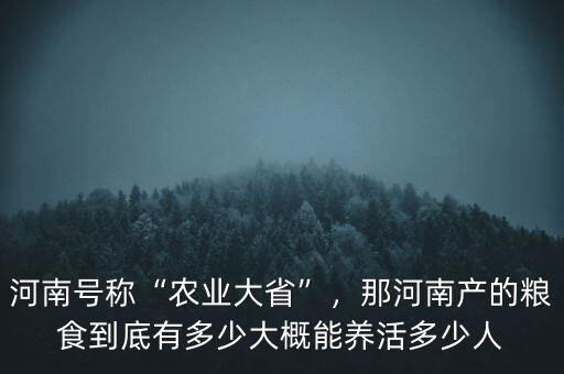 河南號稱“農(nóng)業(yè)大省”，那河南產(chǎn)的糧食到底有多少大概能養(yǎng)活多少人