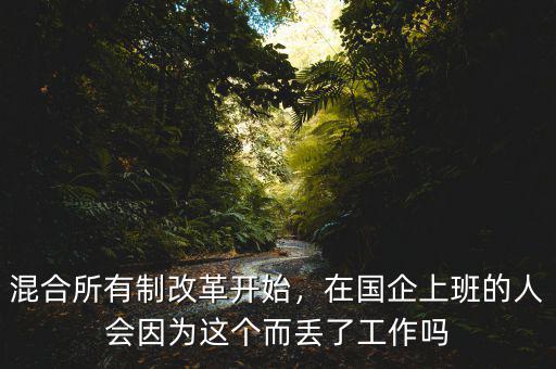 混合所有制改革開始，在國(guó)企上班的人會(huì)因?yàn)檫@個(gè)而丟了工作嗎