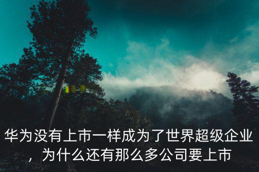 華為沒有上市一樣成為了世界超級企業(yè)，為什么還有那么多公司要上市