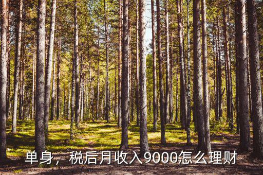 單身，稅后月收入9000怎么理財(cái)