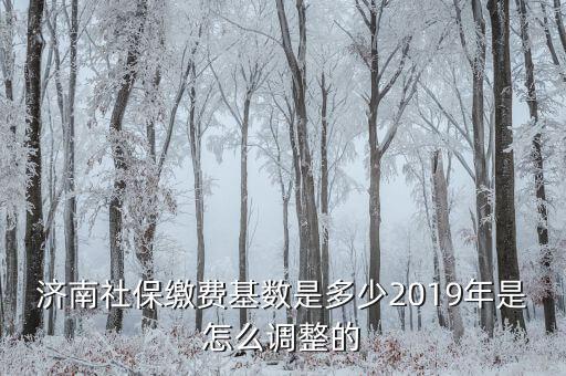 濟南社?；鶖翟趺此?2019年是怎么調整的