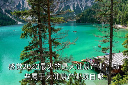 感覺2020最火的是大健康產(chǎn)業(yè)，哪些屬于大健康產(chǎn)業(yè)項目呢