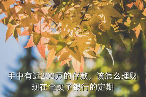 200萬(wàn)存款怎么理財(cái),手里有300萬(wàn)存款