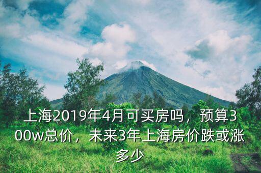 上海2019年4月可買房嗎，預(yù)算300w總價(jià)，未來3年上海房價(jià)跌或漲多少