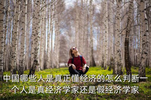 中國經(jīng)濟學人怎么樣,中國哪些人是真正懂經(jīng)濟的