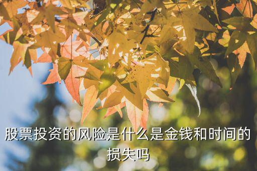 股票投資的風(fēng)險是什么是金錢和時間的損失嗎