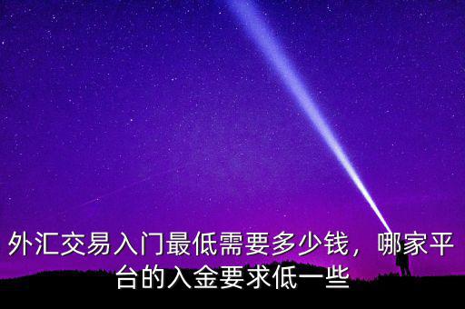 外匯交易入門(mén)最低需要多少錢(qián)，哪家平臺(tái)的入金要求低一些