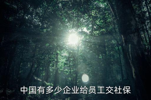 中國(guó)有多少企業(yè)給員工交社保