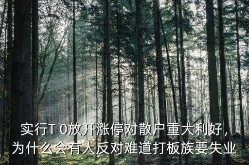 實行T 0放開漲停對散戶重大利好，為什么會有人反對難道打板族要失業(yè)