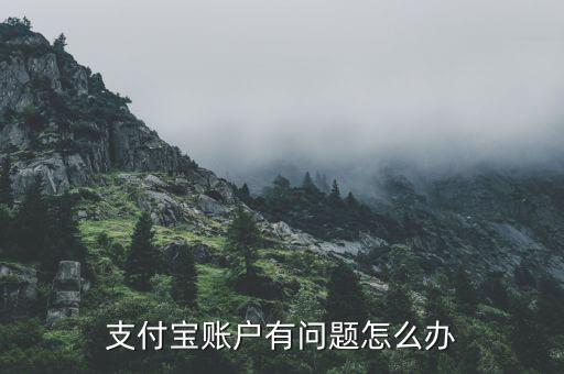 支付寶有帳號風(fēng)險(xiǎn)怎么辦,支付寶賬戶有問題怎么辦