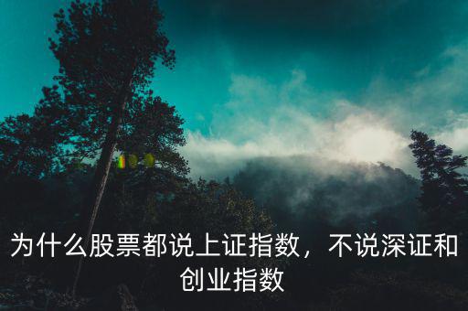 為什么股票都說上證指數，不說深證和創(chuàng)業(yè)指數