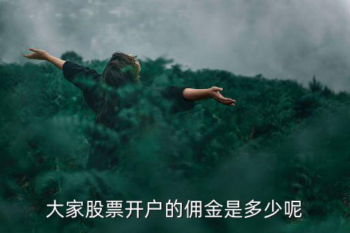 大家股票開戶的傭金是多少呢