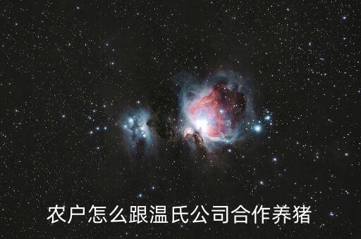 農(nóng)戶怎么跟溫氏公司合作養(yǎng)豬