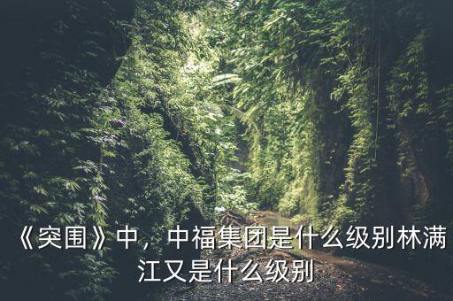 《突圍》中，中福集團是什么級別林滿江又是什么級別