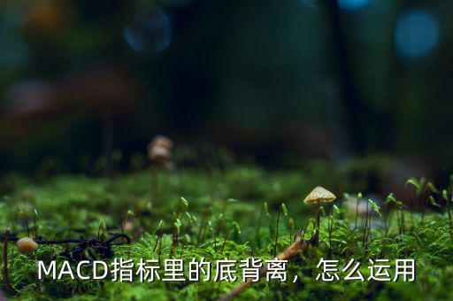 怎么利用MACD背離做波段,如何根據(jù)小時圖做波段操作