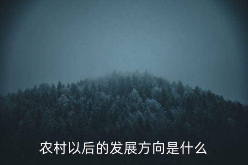 農(nóng)村以后的發(fā)展方向是什么