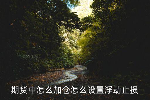 浮動(dòng)止盈怎么設(shè)置,期貨中怎么加倉(cāng)