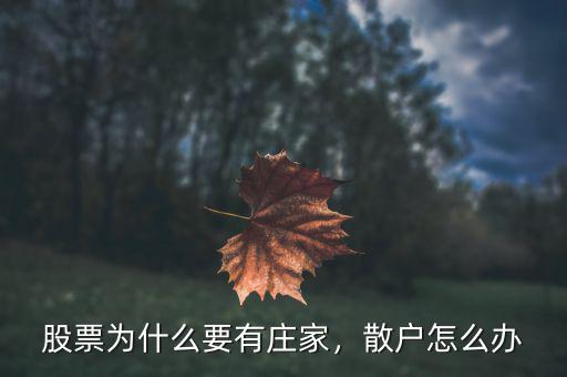 股票為什么要有莊家，散戶怎么辦