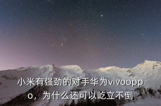 小米有強(qiáng)勁的對手華為vivooppo，為什么還可以屹立不倒