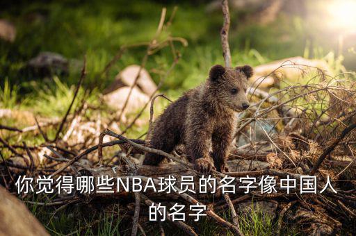 你覺(jué)得哪些NBA球員的名字像中國(guó)人的名字