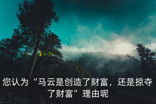 您認為“馬云是創(chuàng)造了財富，還是掠奪了財富”理由呢