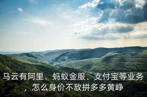 馬云有阿里、螞蟻金服、支付寶等業(yè)務(wù)，怎么身價(jià)不敵拼多多黃崢