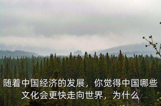 為什么中國經濟發(fā)展快,為什么南方經濟發(fā)展快